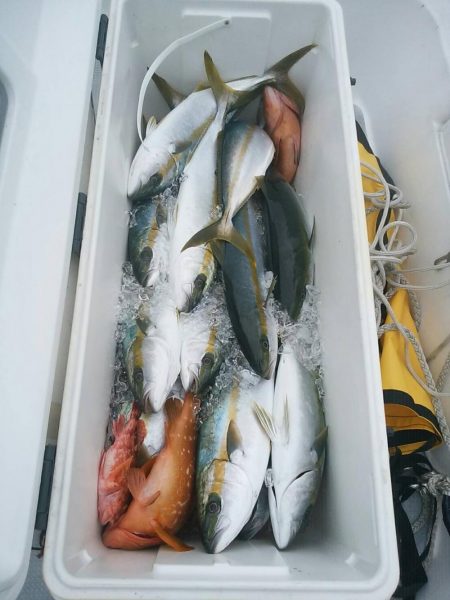 下関沖　ジギング